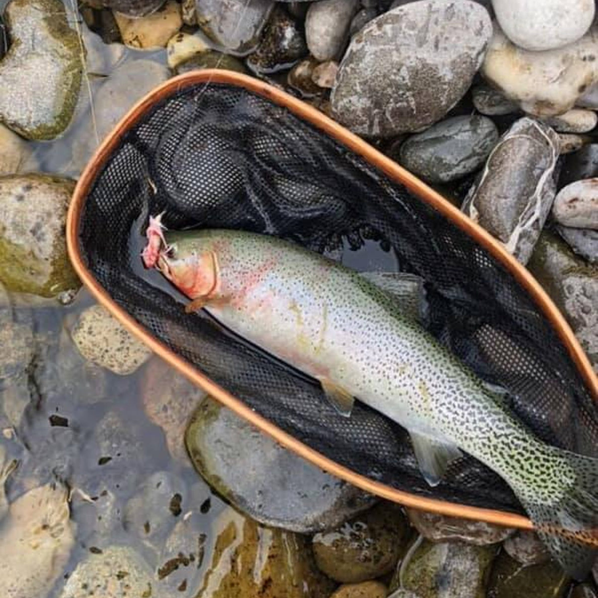 Fishing the Canadian Rockies 2nd Edition Guide
