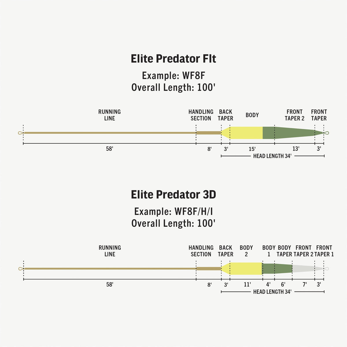 Rio Elite Predator Sink Tip Fly Line