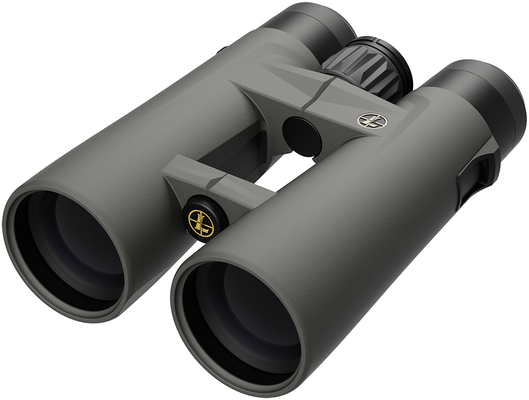 Leupold BX-4 Pro Guide HD 10X50 - Gen 2