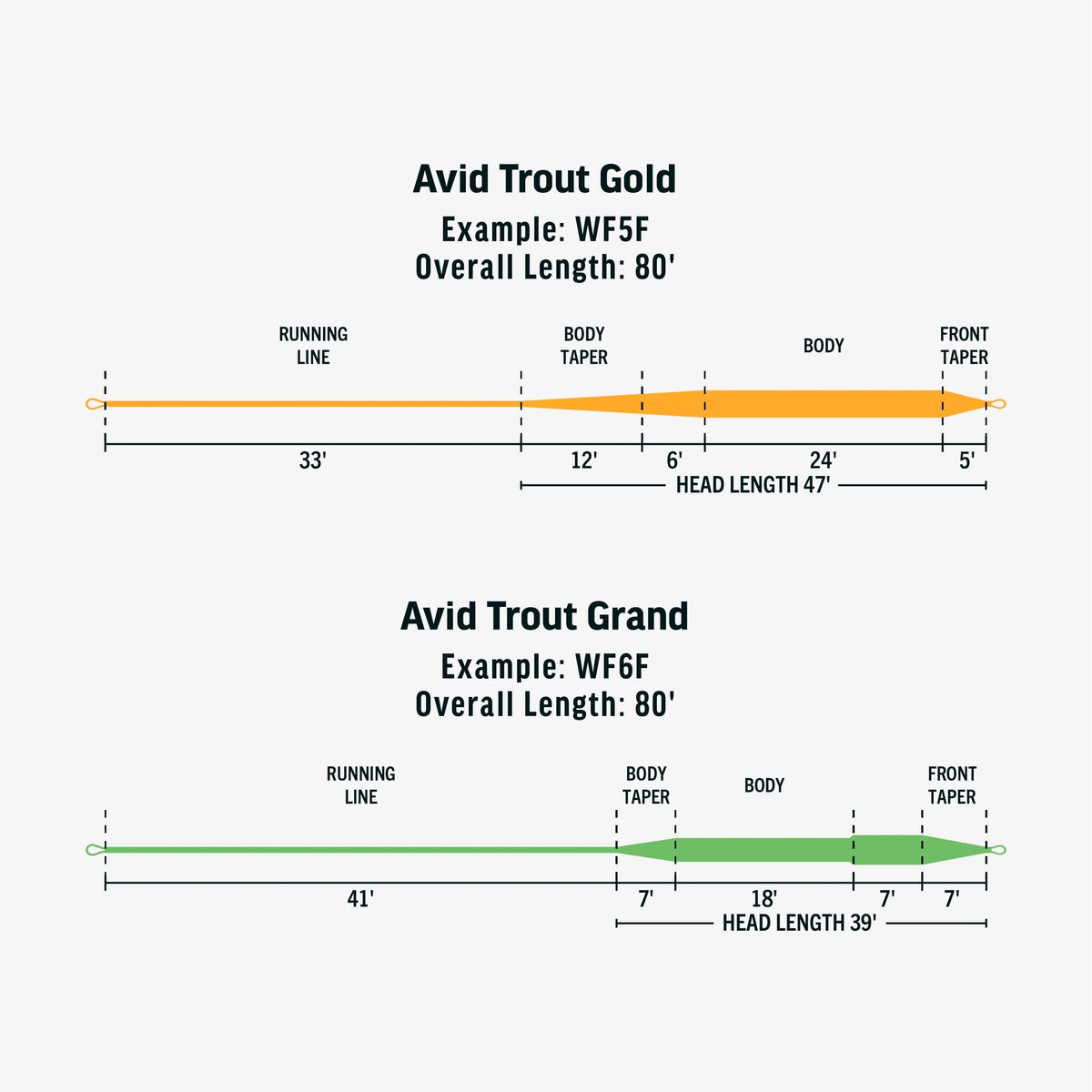 Rio Avid Grand Fly Line