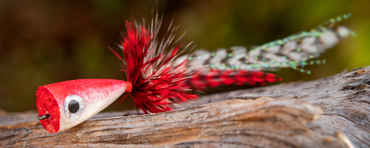 Ahrex PR354 - Long Shank Popping-Skipping Bug Hooks