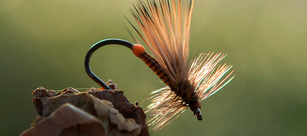 Ahrex FW503 - Dry Fly Light Barbless Hooks