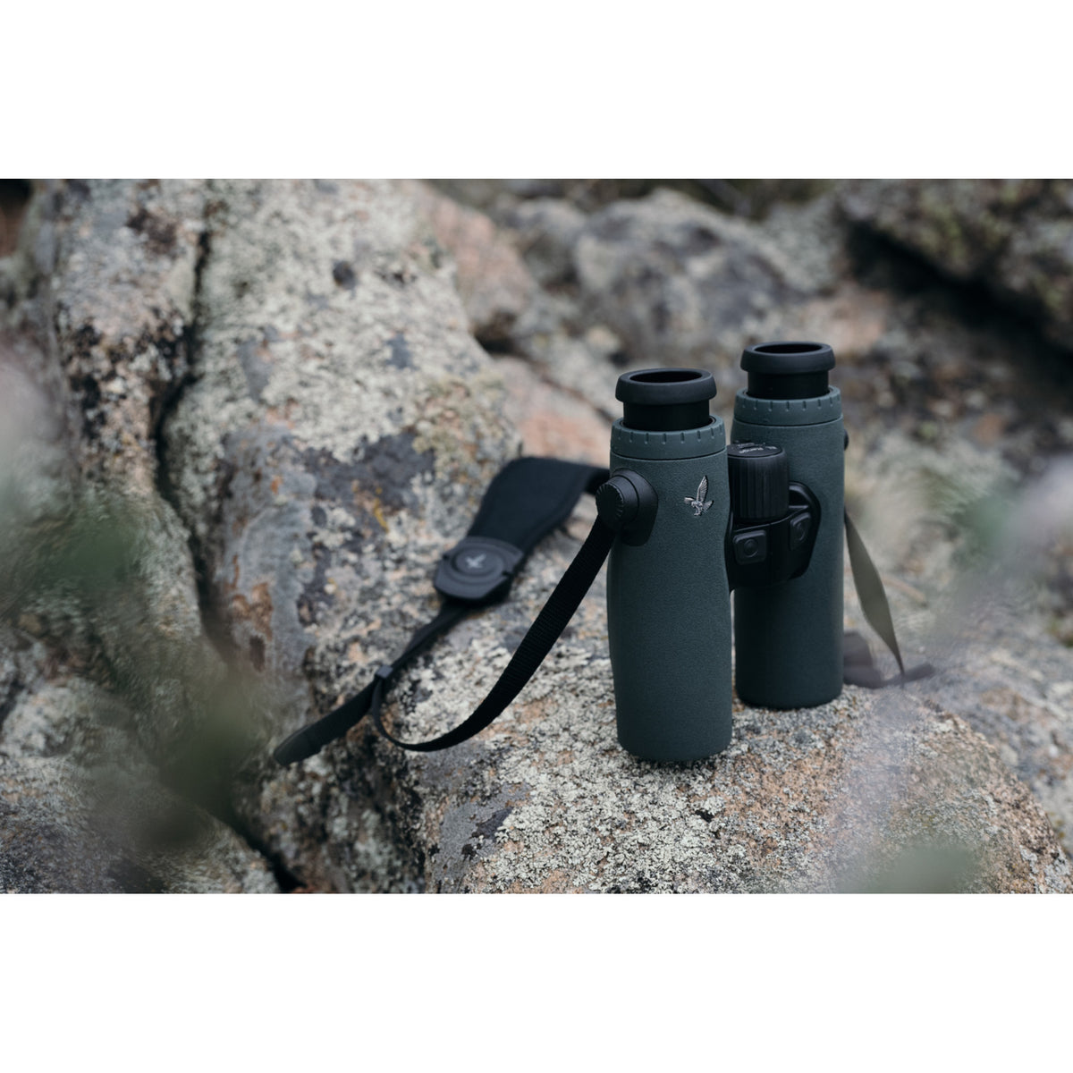 Swarovski EL Range TA 8x32 - Binoculars