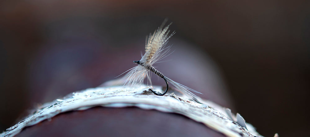 Ahrex FW502 - Dry Fly Light Barbed Hooks
