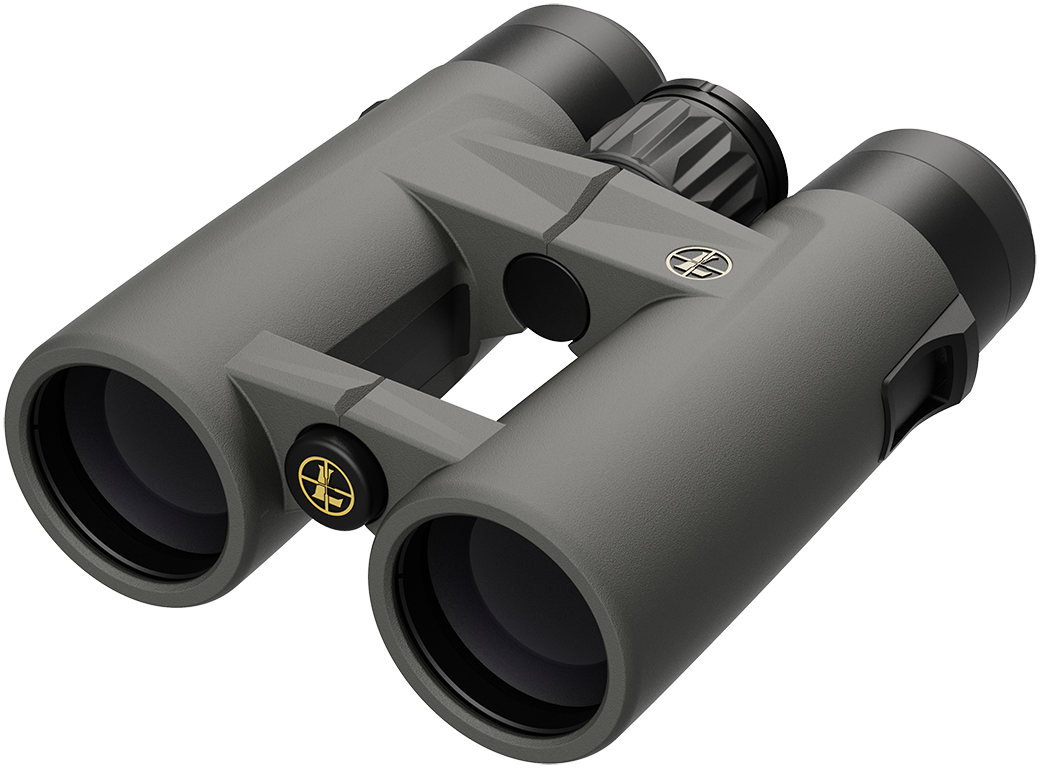 Leupold BX-4 Pro Guide HD 10X42 - Gen 2