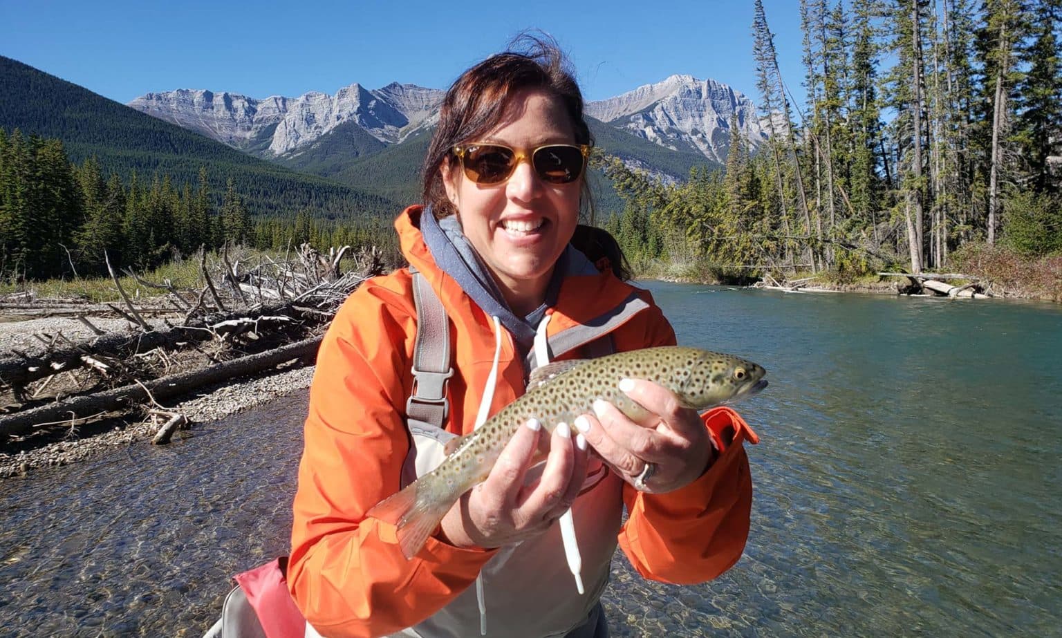 guided fly fishing guest holding brown trout on the bow river