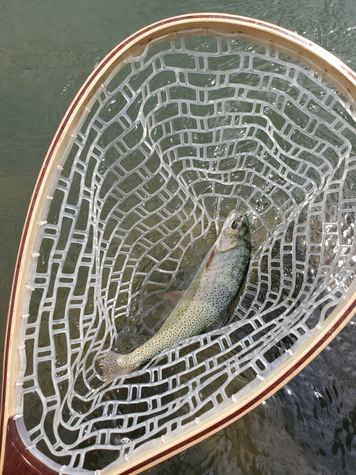 Yankee Fork Catch & Release Net