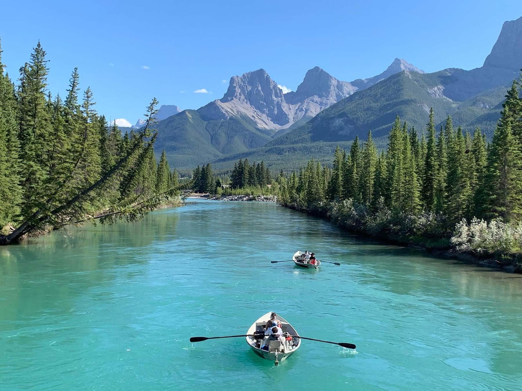 Fly Fishing Bow River 